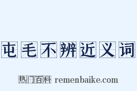 屯毛不辨近义词是什么意思的图片